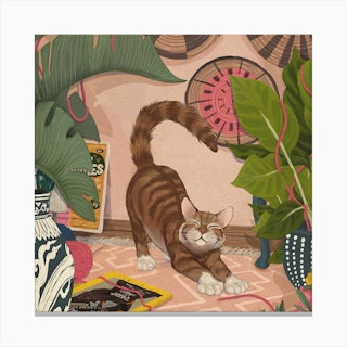 Marmalade Cat Square Canvas Print