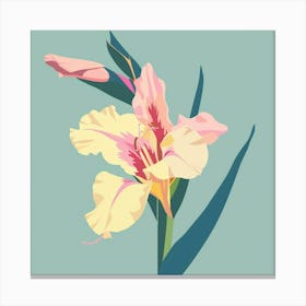 Gladiolus Square Flower Illustration Canvas Print