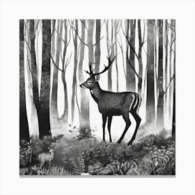 Deer In The Woods 8 Canvas Print