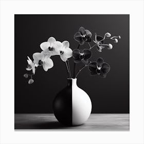 Black And White Orchids In A Vase Canvas Print