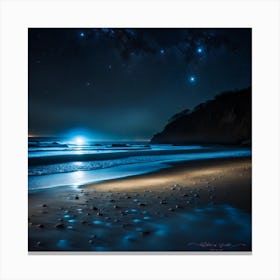 Night Sky At The Beach Canvas Print