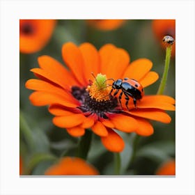 Ladybug On A Flower Canvas Print