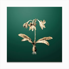 Gold Botanical Netted Veined Amaryllis on Dark Spring Green n.1493 Canvas Print