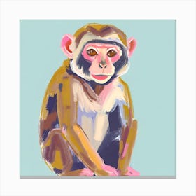 Capuchin Monkey 03 Canvas Print