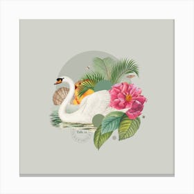 Flora & Fauna with Mute Swan 1 Canvas Print