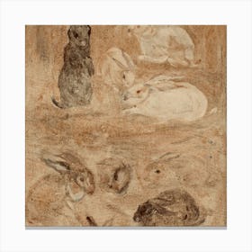 Rabbits 1 6 Canvas Print