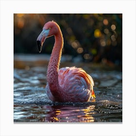 Flamingo In The Water Canvas Print