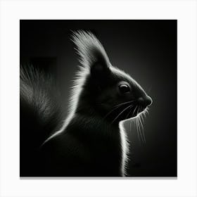 Black And White Squirrel Canvas Print
