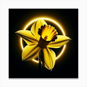 Daffodil 1 Canvas Print