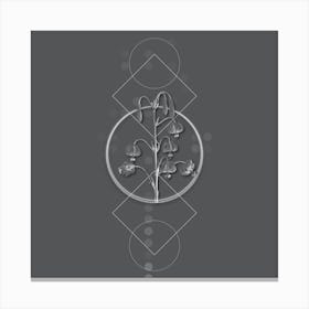 Vintage Lilium Pyrenaicum Botanical with Line Motif and Dot Pattern in Ghost Gray n.0227 Canvas Print