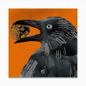 CrowNuts Canvas Print