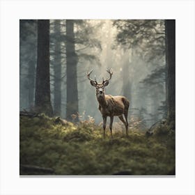 Deer In The Forest 218 Canvas Print