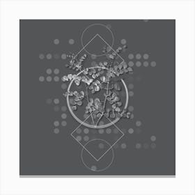 Vintage Blood Spotted Bladder Senna Botanical with Line Motif and Dot Pattern in Ghost Gray n.0054 Canvas Print