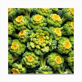 Close Up Of Broccoli 5 Canvas Print