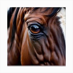 Eye Of A Horse 21 Canvas Print