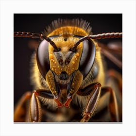 Bee Portrait 1 Canvas Print