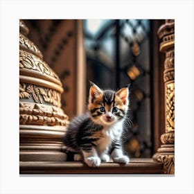Kitten Sitting On A Pillar Canvas Print