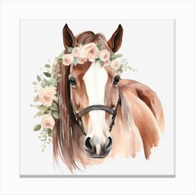 Horse With Flowers 4 Canvas Print