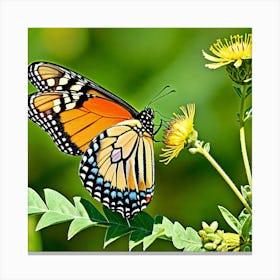 Monarch Butterfly 8 Canvas Print