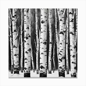 Birch Trees In The Snow Canvas Print