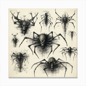Spiders Canvas Print