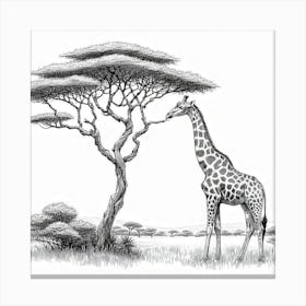 Line Art giraffe 1 Canvas Print