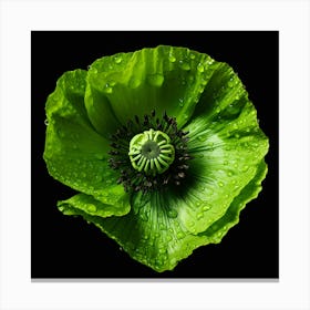 Green Poppy Flower Canvas Print