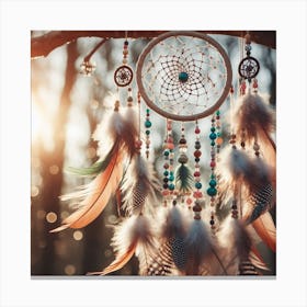 Dream Catcher 1 Canvas Print