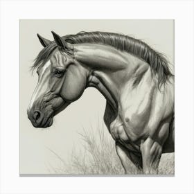 Horse In The Grass Canvas Print