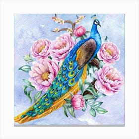 Peacock Canvas Print