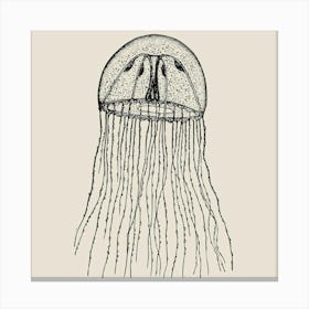 Jellyfish 1 Canvas Print