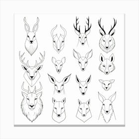 Deer Head Set Canvas Print