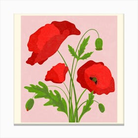 Poppies 1 Canvas Print