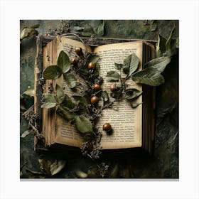 Old Book With Leaves Canvas Print