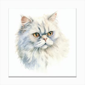 Colorpoint Shorthair Persian Cat Portrait 2 Canvas Print