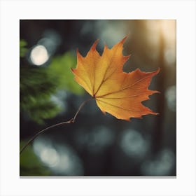 Autumn Leaf 14 Canvas Print