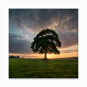 Sunset Over A Tree Canvas Print
