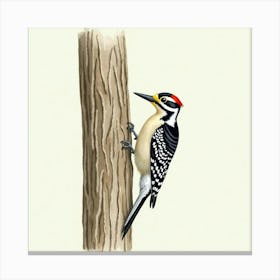 Woodpecker 1 Canvas Print