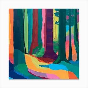 Colourful Abstract Muir Woods National Park Usa 1 Canvas Print