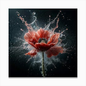 Crimson Explosion Canvas Print