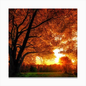 Autumn Trees In The Park Canvas Print