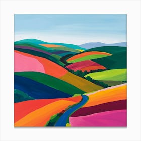 Colourful Abstract Exmoor National Park England 2 Canvas Print