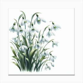 Flowers of Snowdrops 1 Canvas Print