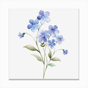 Forget Me Nots Canvas Print