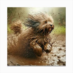 Dog Running In Mud Canvas Print