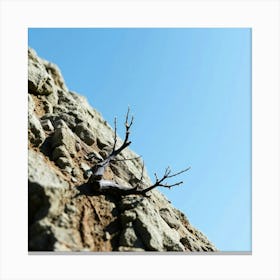 Rocky Cliff Canvas Print