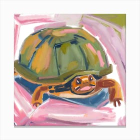 Box Turtle 03 Canvas Print