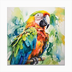 Parrot 2 Canvas Print