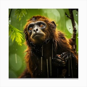 Monkey In The Rain Canvas Print