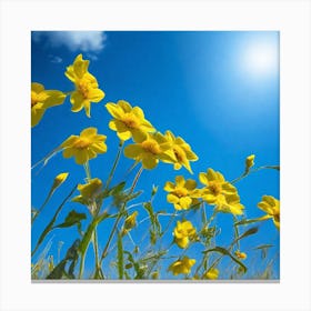 Yellow Flowers In The Field Canvas Print